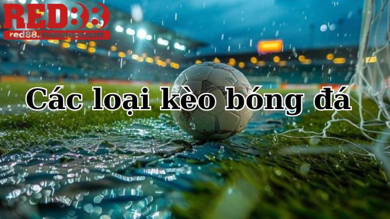kèo bóng đá Một vài loại kèo thông dụng trong bóng đá