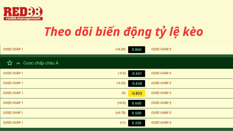 kèo chấp nửa trái Theo dõi biến động tỷ lệ kèo nhà cái thường xuyên