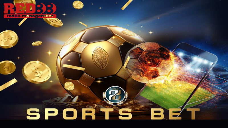 kèo chấp Score Box Ví dụ cụ thể cho kèo chấp Score Box