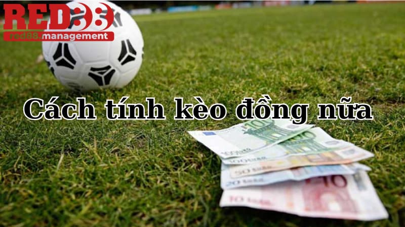 Kèo đồng nữa Cách tính kèo đồng nữa chính xác